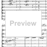 Contrabbasso concertante - Score
