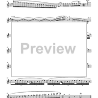 Tourbillon (Whirlwind) from Suite for Flute and Piano
