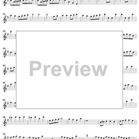 Concerto in E Minor for Recorder and Flute