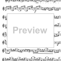 The Accomplished Clarinettist Vol. 2 - Clarinet