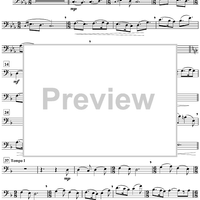 A Window to the Past