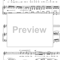 Fiesta de la Candelaria