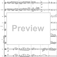 Symphony No. 3 in D Major, "Polish", Movt. 3 - Full Score