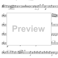 Piano Trio Bb Major D28 - Cello