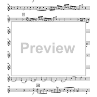 The Violin Concerti - Violin 2