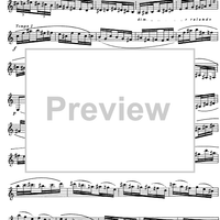 Preliminary studies to 'The Accomplished Clarinettist' Vol. 3 - Clarinet