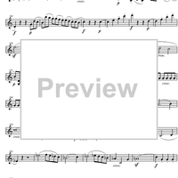 String Quintet C Major Op.29 - Violin 2