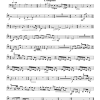 Wind Quintet - Bassoon