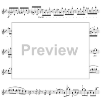 Twenty-Four Caprices: Nos. 13 - 24