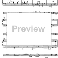 Suite andaluza - Score