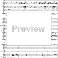 Horn Concerto No. 3 in E-flat Major, K447