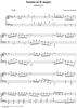 Sonata in D major   (K480/P381/LS8)