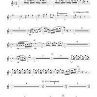 Loudoun Praises - Piccolo