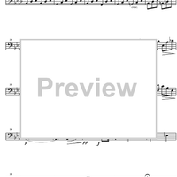 Birthday Variations Rossini - Bassoon