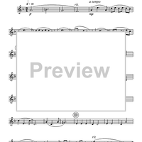 Reflections Of Life - Oboe