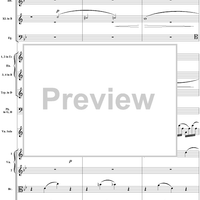 Violin Concerto No. 1, Movement 1 - Score