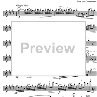 Cadenza Concerto E Major  1st and  2nd movement - Flute