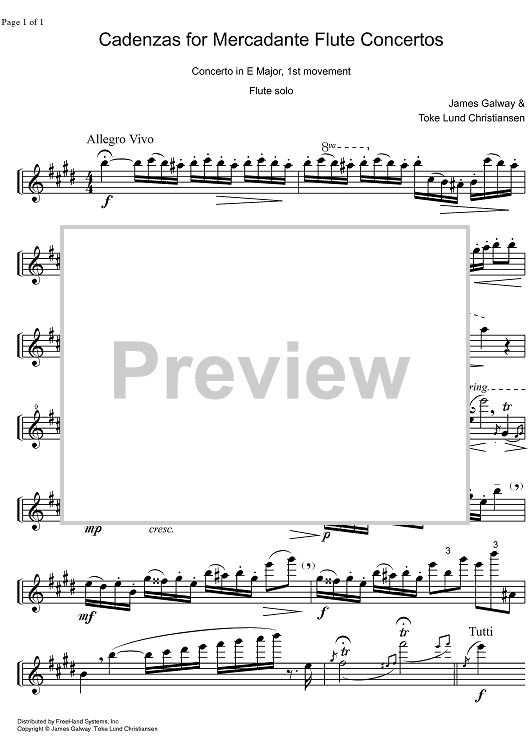 Cadenza Concerto E Major  1st and  2nd movement - Flute