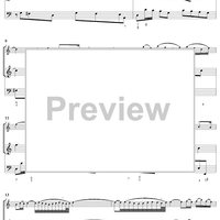 Violin Sonata No. 3 - Piano Score