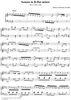 Sonata in B-flat minor  (K131/P154/L300)