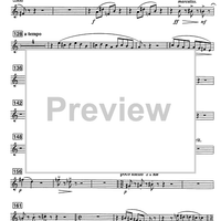 Shoshanna - B-flat Tenor Saxophone