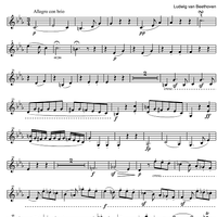 String Quintet c minor Op.104 - Violin 2