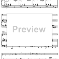 Harry's Wondrous World