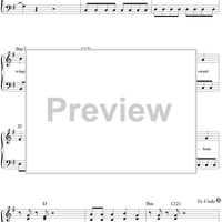 Hummingbird Heartbeat