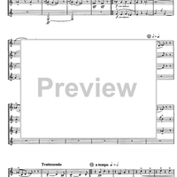 Divertimento preistorico - Score