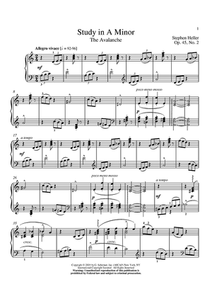 Avalanche, Op. 45, No. 2