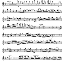 Concerto No. 4 D Major KV218 - Violin