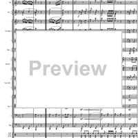 Final Galop from the Guard of Amager - Score