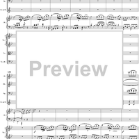Piano Concerto No. 20 in D Minor, Movement 2 (K466) - Full Score