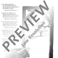 Flutes for Christmas