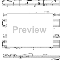 Duo concertante Op.72 - Score