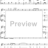 Beneath a Weeping Willow's Shade