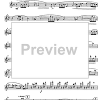 Im Schweizer Volkston - Flute