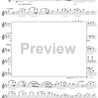 Romance sans Paroles - Flute