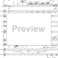 Serenade in D Minor, Op. 44, B77, Movement 3 - Score