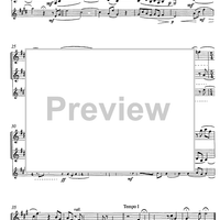 Volo Vienna - Parigi - N.Y.