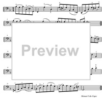 Suite No. 1 G Major BWV 1007 - Cello