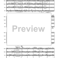 St. James Infirmary - Score