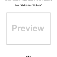 The Andalusian Merchant