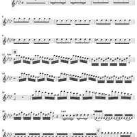 The Four Seasons, No. 4: Winter - Solo Violin