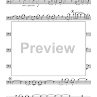 Sonata For Basson And Piano - Bassoon