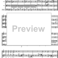 Divertimento No. 7 D Major KV205 - Score