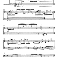 Impromptu No.17 Op.79