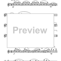 Reflections Of Life - Flute