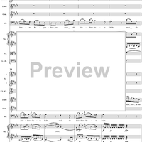 "O selige Wonne! Die glänzende Sonne steigt", No. 8 from "Zaide", Act 1, K336b (K344) - Full Score