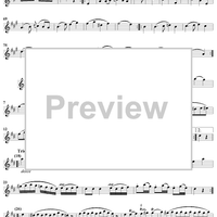 Flute Quartet No. 4 - Flute